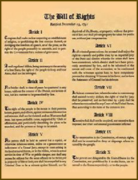 The Bill of Rights - Civil Litigation